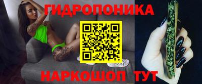 прущие грибы Моздок