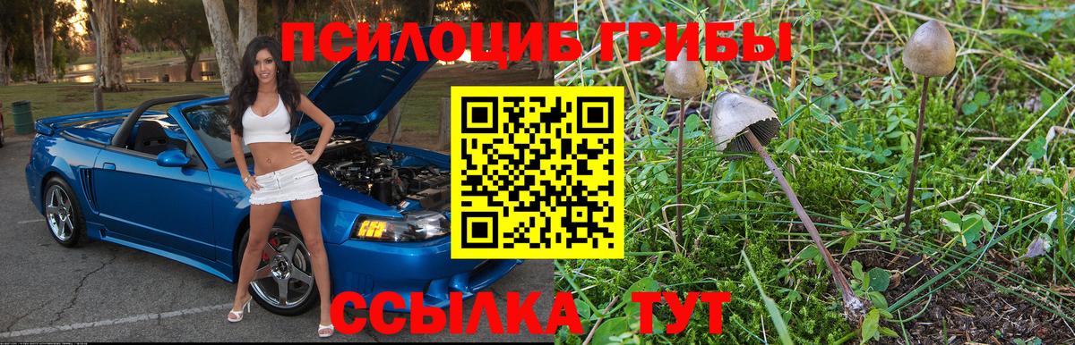 Псилоцибиновые грибы ЛСД  Галлюциногенные грибы GOLDEN TEACHER  Вход с VPN  Гулькевичи 